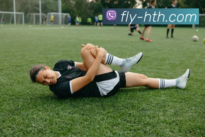 hth体育APP 封面图